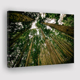 Abstract Forest Print Canvas Prints Wall Art Decor - Painting Canvas,Home Decor, Ready to Hang