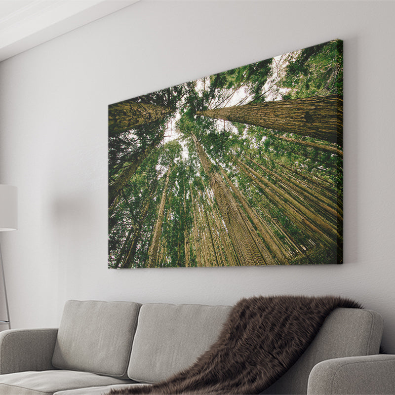 Abstract Forest Print Canvas Prints Wall Art Decor - Painting Canvas,Home Decor, Ready to Hang