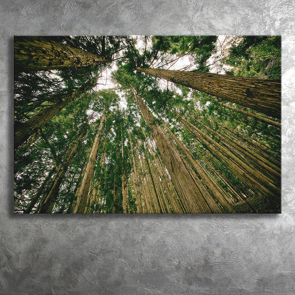 Abstract Forest Print Canvas Prints Wall Art Decor - Painting Canvas,Home Decor, Ready to Hang