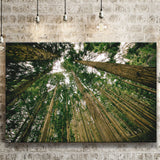 Abstract Forest Print Canvas Prints Wall Art Decor - Painting Canvas,Home Decor, Ready to Hang