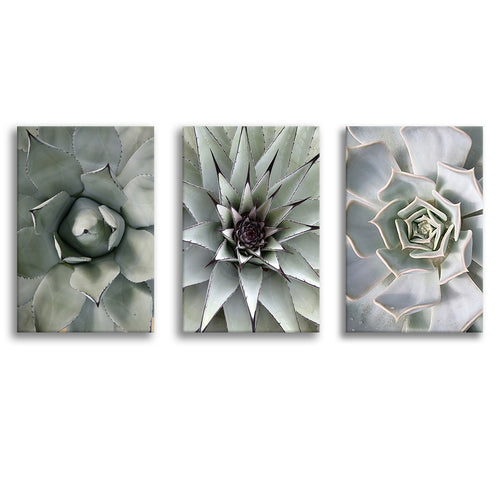 Abstract Nordic Cactus Canvas Prints 3 Pieces Wall Art Decor - Painting Canvas, Multi Panel, Home Decor
