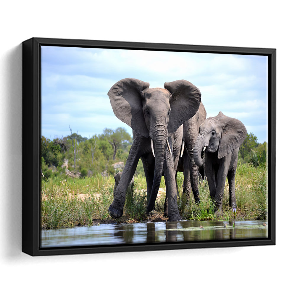 African Bush Elephant Framed Canvas Prints Wall Art - Painting Canvas, Wall Decor, Canvas Art, Floating Frame