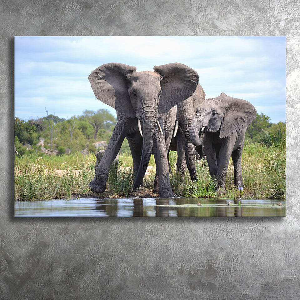 African Bush Elephant Canvas Prints Wall Art - Painting Canvas, Wall Decor, Canvas Art, For Sale
