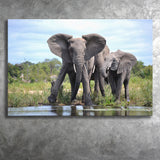 African Bush Elephant Canvas Prints Wall Art - Painting Canvas, Wall Decor, Canvas Art, For Sale