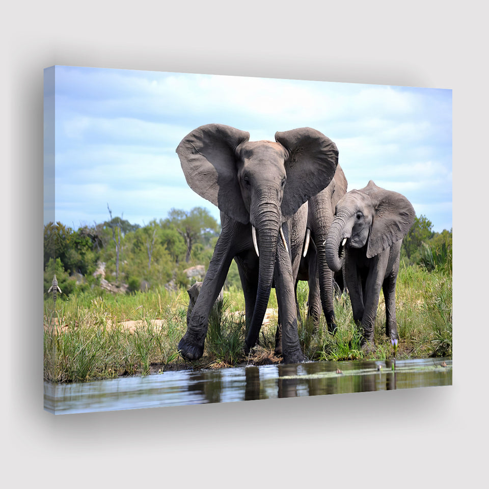 African Bush Elephant Canvas Prints Wall Art - Painting Canvas, Wall Decor, Canvas Art, For Sale
