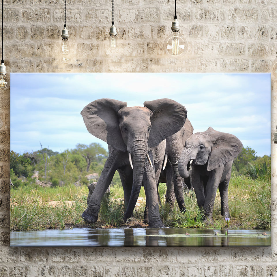 African Bush Elephant Canvas Prints Wall Art - Painting Canvas, Wall Decor, Canvas Art, For Sale