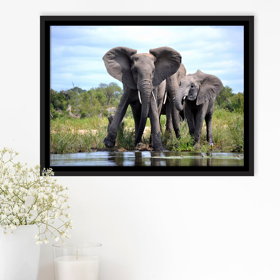 African Bush Elephant Framed Canvas Prints Wall Art - Painting Canvas, Wall Decor, Canvas Art, Floating Frame