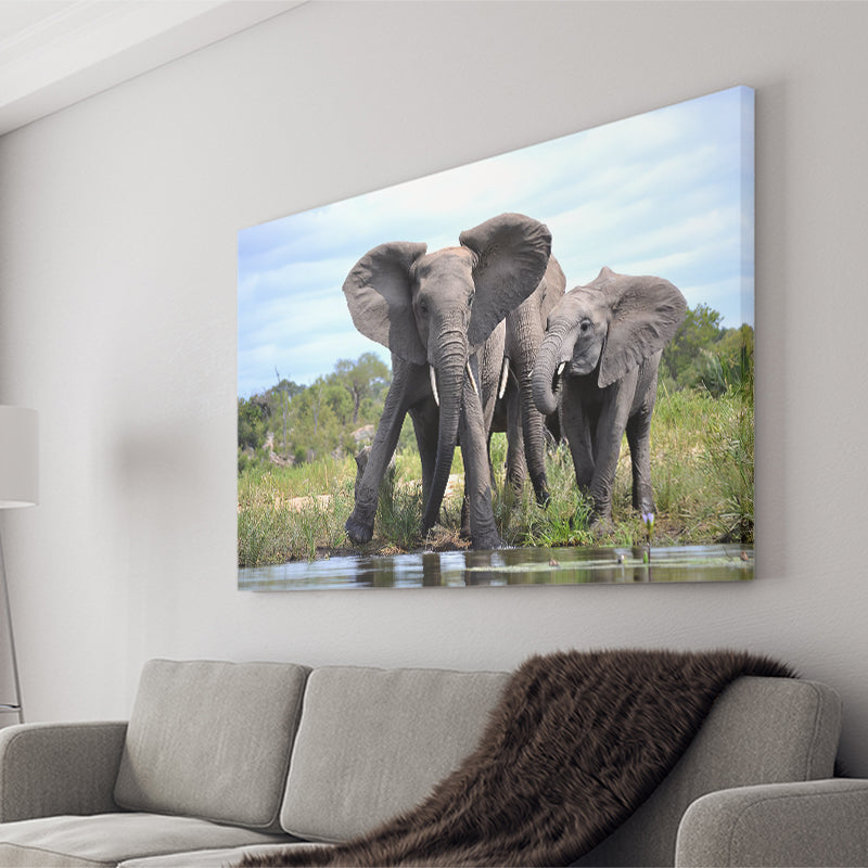 African Bush Elephant Canvas Prints Wall Art - Painting Canvas, Wall Decor, Canvas Art, For Sale