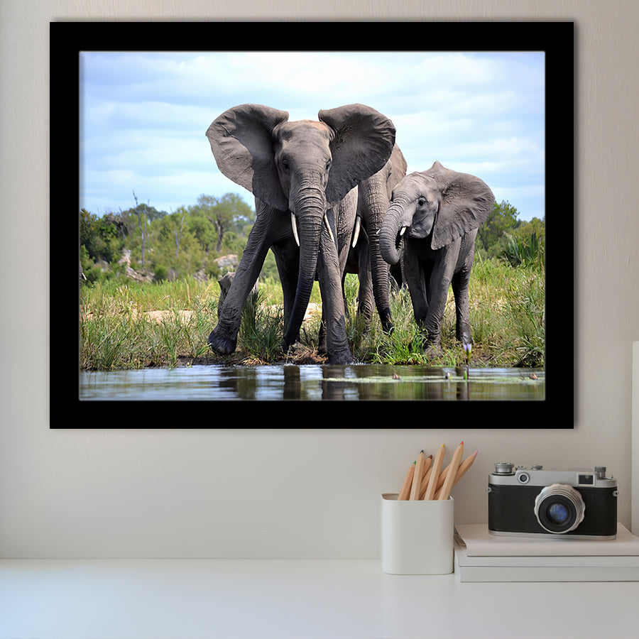 African Bush Elephant Framed Art Prints Wall Decor - Painting Prints, Wall Art, Framed Picture, Black Frame