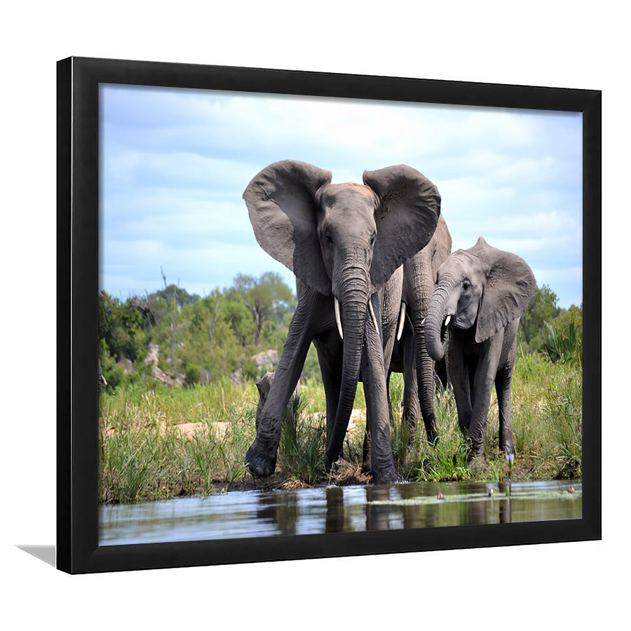 African Bush Elephant Framed Art Prints Wall Decor - Painting Prints, Wall Art, Framed Picture, Black Frame