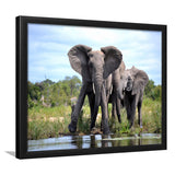 African Bush Elephant Framed Art Prints Wall Decor - Painting Prints, Wall Art, Framed Picture, Black Frame