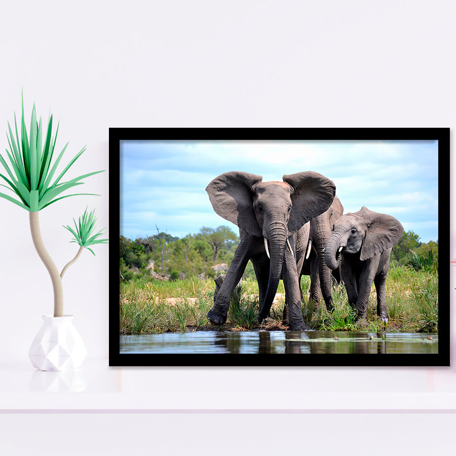 African Bush Elephant Framed Art Prints Wall Decor - Painting Prints, Wall Art, Framed Picture, Black Frame