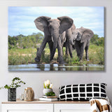 African Bush Elephant Canvas Prints Wall Art - Painting Canvas, Wall Decor, Canvas Art, For Sale