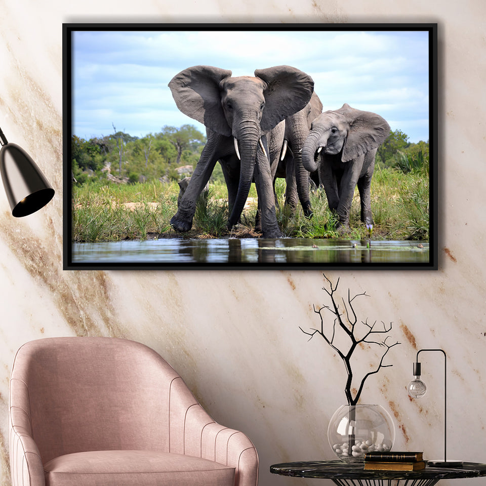 African Bush Elephant Framed Canvas Prints Wall Art - Painting Canvas, Wall Decor, Canvas Art, Floating Frame
