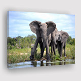 African Bush Elephant Canvas Prints Wall Art - Painting Canvas, Wall Decor, Canvas Art, For Sale