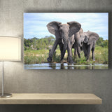 African Bush Elephant Canvas Prints Wall Art - Painting Canvas, Wall Decor, Canvas Art, For Sale