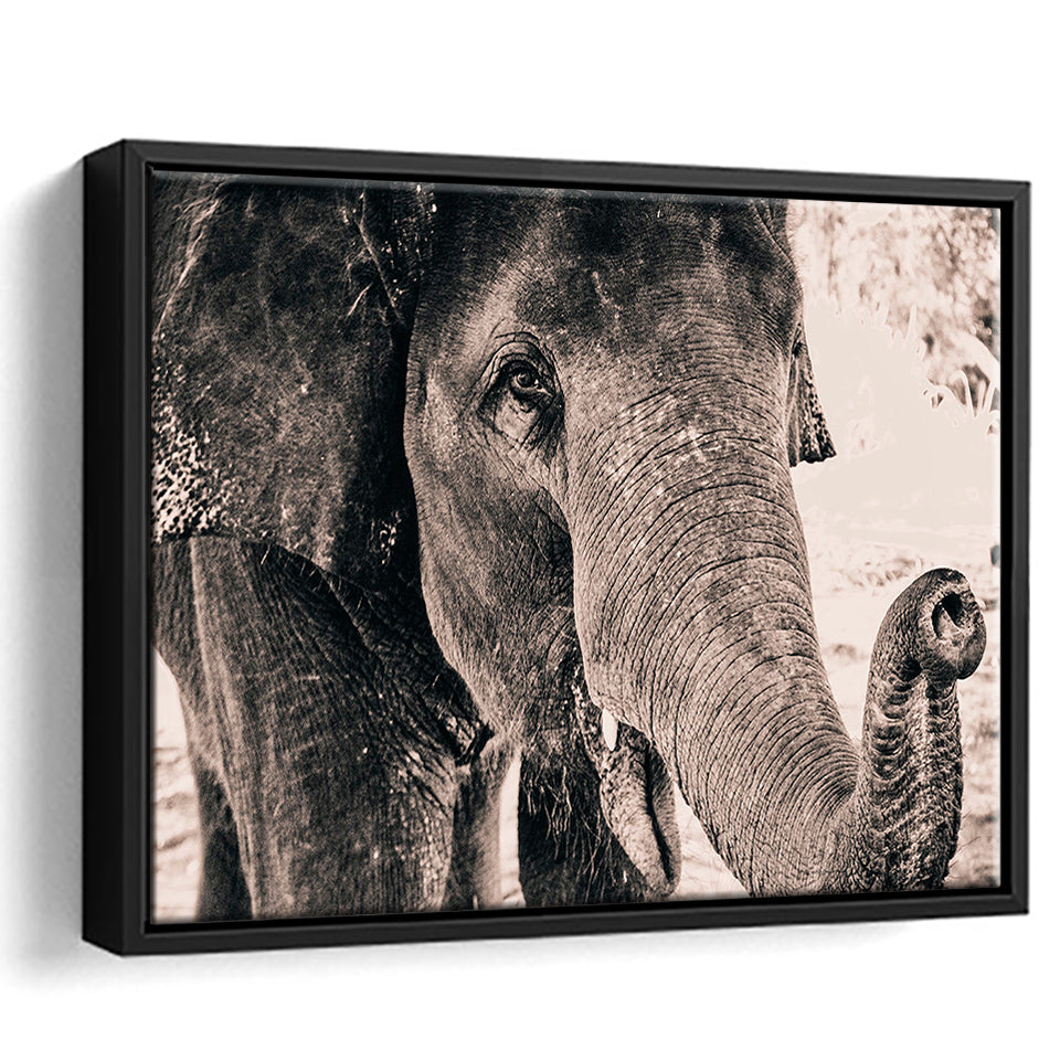 African Elephant Framed Canvas Prints Wall Art Decor, Framed Picture, Floating Frame
