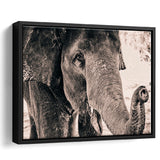 African Elephant Framed Canvas Prints Wall Art Decor, Framed Picture, Floating Frame