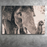African Elephant Canvas Prints Wall Art Decor - Painting Canvas,Home Decor, Ready to Hang