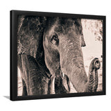 African Elephant Framed Art Prints Wall Art Decor, Framed Picture, Home Decor