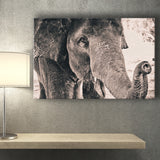 African Elephant Canvas Prints Wall Art Decor - Painting Canvas,Home Decor, Ready to Hang