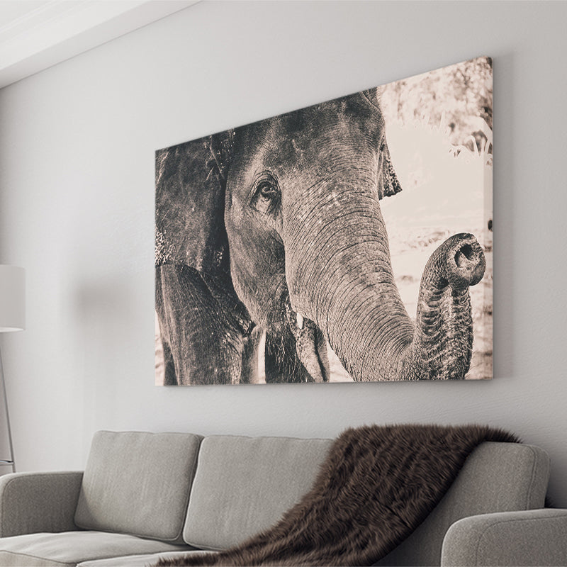 African Elephant Canvas Prints Wall Art Decor - Painting Canvas,Home Decor, Ready to Hang