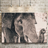 African Elephant Canvas Prints Wall Art Decor - Painting Canvas,Home Decor, Ready to Hang