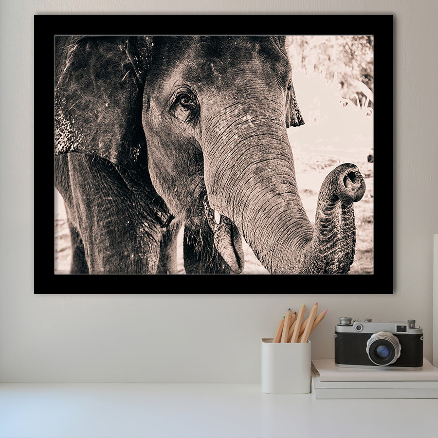 African Elephant Framed Art Prints Wall Art Decor, Framed Picture, Home Decor
