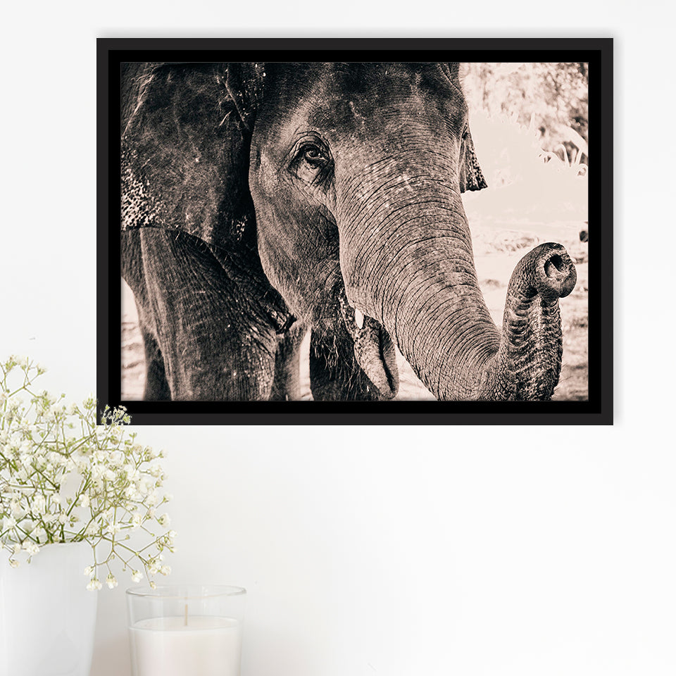 African Elephant Framed Canvas Prints Wall Art Decor, Framed Picture, Floating Frame