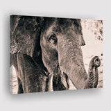 African Elephant Canvas Prints Wall Art Decor - Painting Canvas,Home Decor, Ready to Hang