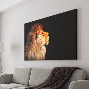 African Lion Canvas Wall Art - Canvas Prints, Prints for Sale, Canvas Painting, Canvas On Sale
