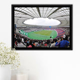 Ajinomoto Stadium in Japan, Stadium Canvas, Sport Art, Gift for him, Framed Canvas Prints Wall Art Decor, Framed Picture