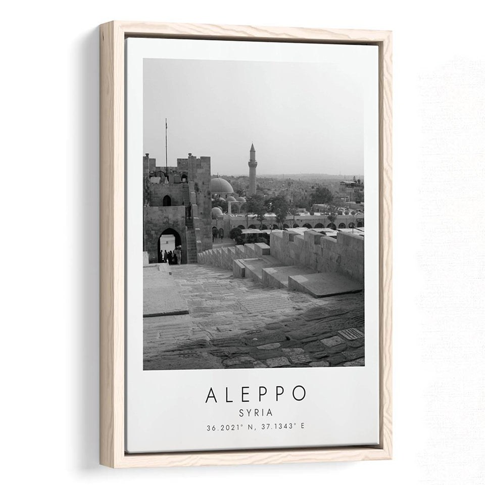 Aleppo, Syria Black And White Art Framed Canvas Prints Wall Art Home Decor, Floating Frame