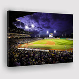 Alex Box Stadium, Stadium Canvas, Sport Art, Gift for him, Fan Gift, Canvas Prints Wall Art Decor