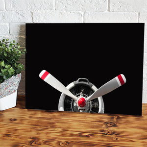 Antique Airplane Propeller Canvas Wall