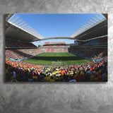 Arena Corinthians Copa, Stadium Canvas, Sport Art, Gift for him, Fan Gift, Canvas Prints Wall Art Decor