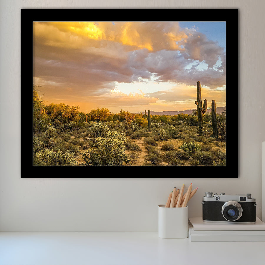 Arizona Desert, Sonoran Desert Framed Art Prints Wall Art Decor,Black Frame, Ready to hang