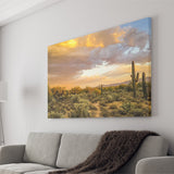 Arizona Desert, Sonoran Desert Canvas Prints Wall Art Home Decor - Painting Canvas, Ready to hang