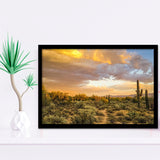 Arizona Desert, Sonoran Desert Framed Art Prints Wall Art Decor,Black Frame, Ready to hang