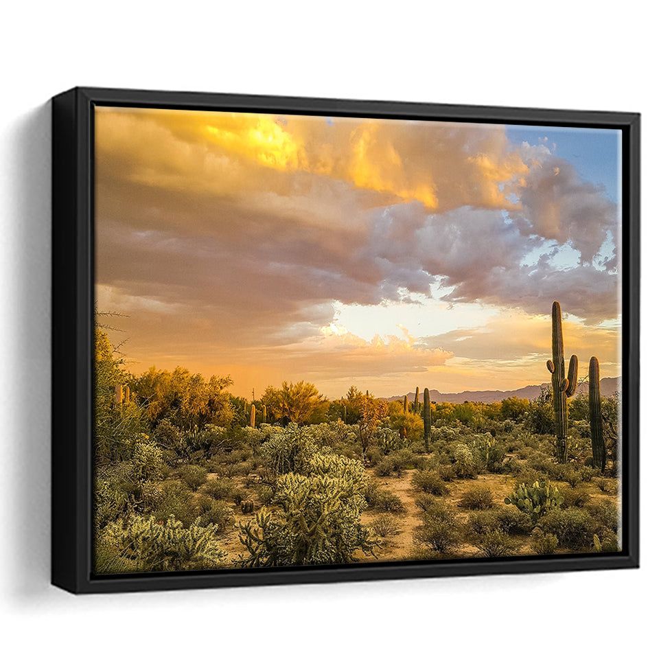 Arizona Desert, Sonoran Desert Framed Canvas Prints Wall Art Decor, Black Floating Frame