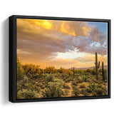 Arizona Desert, Sonoran Desert Framed Canvas Prints Wall Art Decor, Black Floating Frame