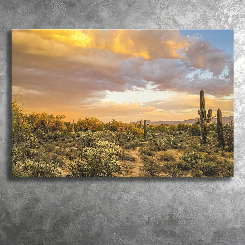 Arizona Desert, Sonoran Desert Canvas Prints Wall Art Home Decor - Painting Canvas, Ready to hang