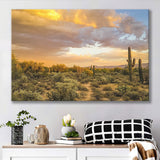 Arizona Desert, Sonoran Desert Canvas Prints Wall Art Home Decor - Painting Canvas, Ready to hang