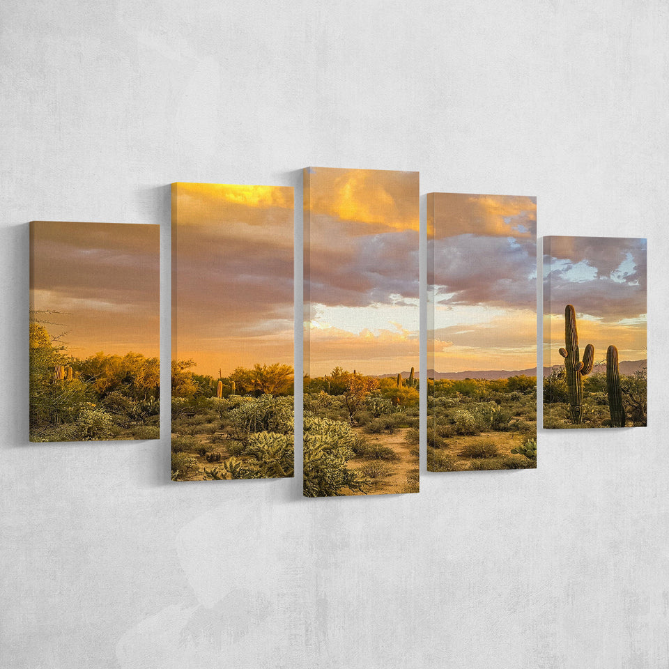 Arizona Desert, Sonoran Desert Multi Panels,Canvas Prints Wall Art Home Decor
