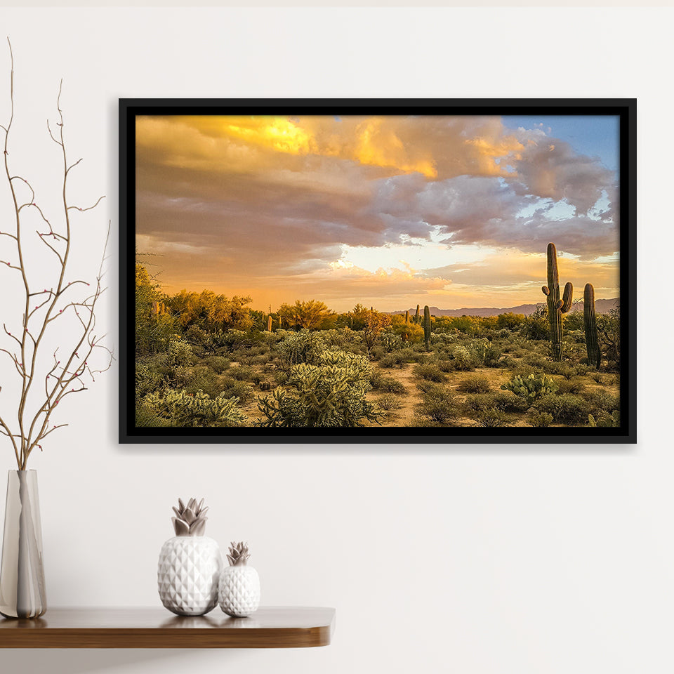 Arizona Desert, Sonoran Desert Framed Canvas Prints Wall Art Decor, Black Floating Frame