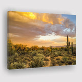 Arizona Desert, Sonoran Desert Canvas Prints Wall Art Home Decor - Painting Canvas, Ready to hang