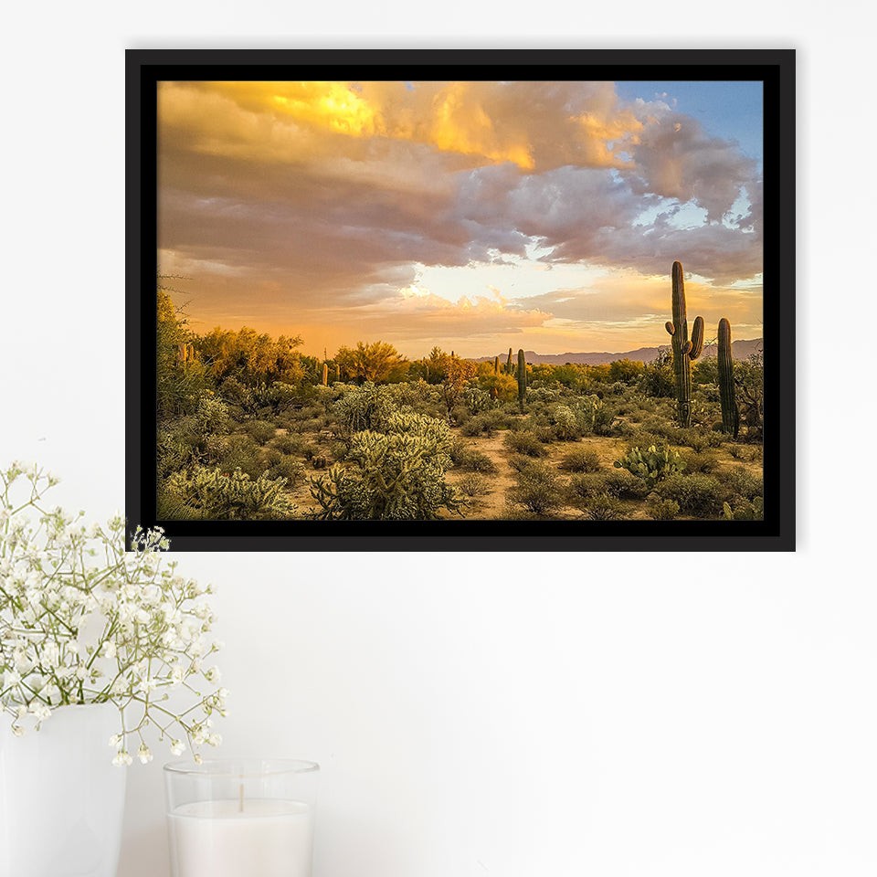 Arizona Desert, Sonoran Desert Framed Canvas Prints Wall Art Decor, Black Floating Frame