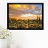 Arizona Desert, Sonoran Desert Framed Canvas Prints Wall Art Decor, Black Floating Frame