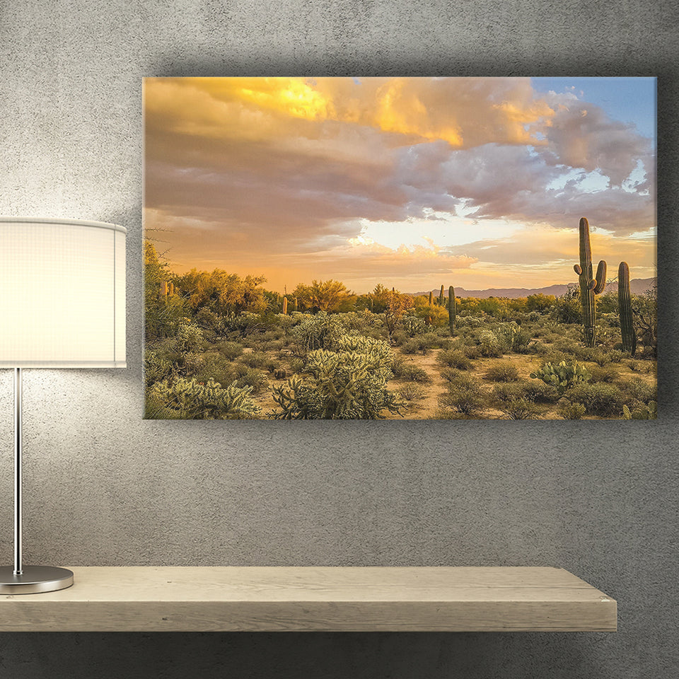 Arizona Desert, Sonoran Desert Canvas Prints Wall Art Home Decor - Painting Canvas, Ready to hang