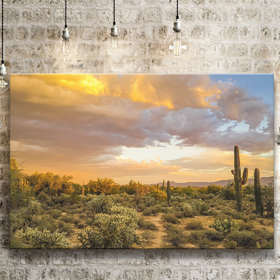 Arizona Desert, Sonoran Desert Canvas Prints Wall Art Home Decor - Painting Canvas, Ready to hang